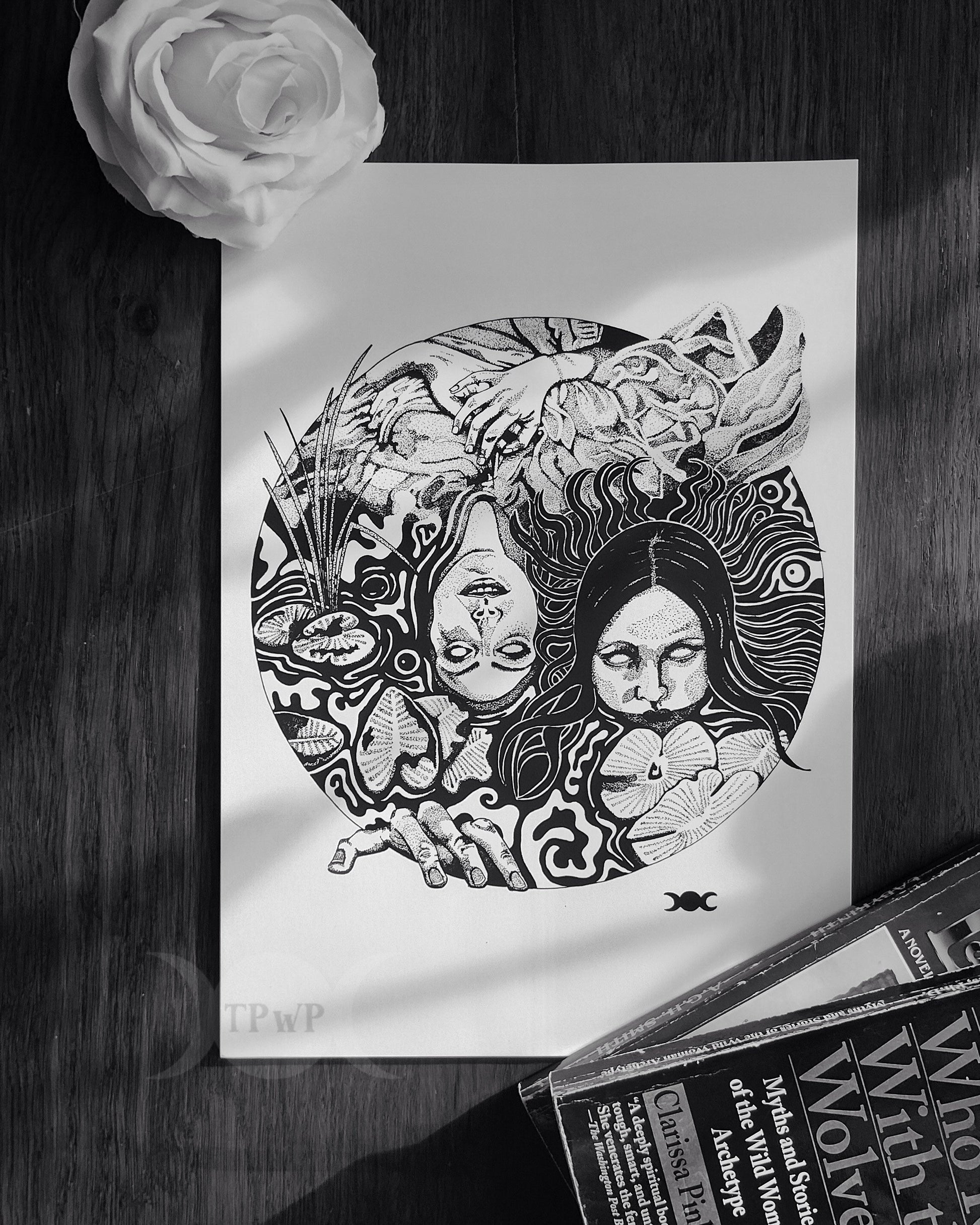 Ladies of the Lake A4 Art Print - {{variant_title}}