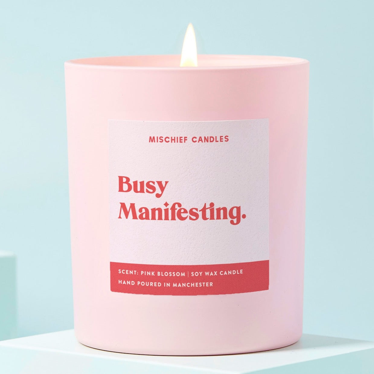 Manifesting Gift Funny Positivity Candle Busy Manifesting - Chilled Vibes (Eucalyptus & Fresh Citrus) / 20cl - 160g Candle / Candle Only