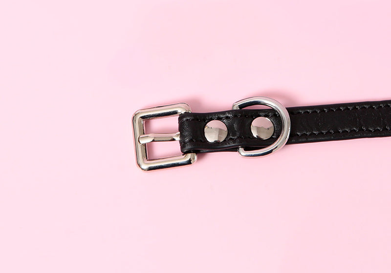 Close-up of a black leather choker showing the stainless steel plated buckle and D ring hardware, ensuring a durable and versatile fit. Displayed on a pink background for a kawaii fashion aesthetic.